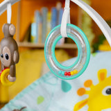 Bright Starts: Wild Vibes Infant to Toddler Rocker