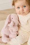 Snuggle Bunnies: Frankie the Hugging Bunny - Blossom 30cm Plush