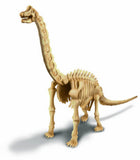 4M: Excavation Kits Brachiosaurus Skeleton