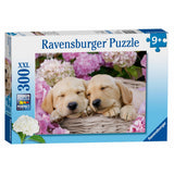 Ravensburger: Sweet Dogs in a Basket Puzzle (300pc Jigsaw)