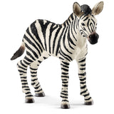Schleich : Zebra Foal