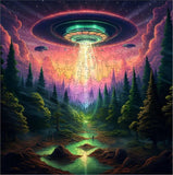 Trippy Puzzles: Earthly Encounter Puzzle (1000pc Jigsaw)