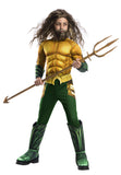 DC Comics: Aquaman - Deluxe Costume (Small)