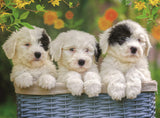 Ravensburger: Cuddly Puppies (200pc Jigsaw)