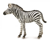 CollectA - Zebra Foal (M)