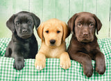 Clementoni: Three Puppies (1000pc Jigsaw)
