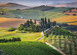 Clementoni: Tuscany (1000pc Jigsaw)