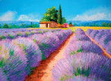 Clementoni: Lavender Scent (500pc Jigsaw)