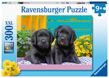 Ravensburger: Puppy Life (300pc Jigsaw)