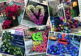 Ravensburger: New York City Floral Arrangements (1000pc Jigsaw)