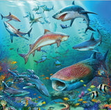 Ravensburger: Ocean Life (3x49pc Jigsaws)