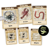 4M: KidzLabs - Creepy Crawly Digging Kit