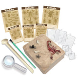 4M: KidzLabs - Creepy Crawly Digging Kit