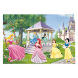 Ravensburger: Disney Princesses (2x24pc Jigsaws)