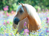 Wildflower Pony (300pc Jigsaw)