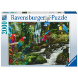 Ravensburger: Parrots Paradise (2000pc Jigsaw)