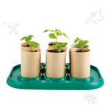 Hape: Growing Gardeners - Greenhouse Set