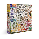 Mushroom Rainbow (1000pc Jigsaw)