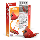 Eugy: Cardinal - 3D Cardboard Model