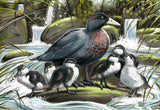 Treasures of Aotearoa: Blue Duck Brood (300pc Jigsaw)