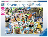 Ravensburger: A Traveler's Animal Journal (1000pc Jigsaw)