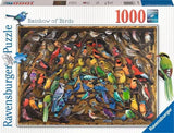 Ravensburger: Rainbow of Birds (1000pc Jigsaw)