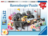 Ravensburger: Cute Little Furballs (2x12pc Jigsaw)