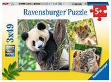 Ravensburger: Panda, Lion, and Tiger (3x49pc Jigsaw)