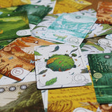 Evergreen (Board Game)