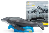 tonies: Stories - National Geographic Whale