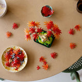 LEGO Botanicals: Japanese Red Maple Bonsai Tree - (10348)