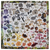 eeBoo: Mushroom Rainbow Puzzle (1000pc Jigsaw)