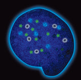 Crazy Aarons Trendsetters Thinking Putty - Total Eclipse