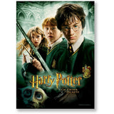 Harry Potter Movie Posters #1 - Assorted Designs (1000pc Jigsaw)
