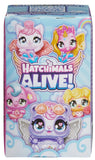 Hatchimals: Alive - Family Surprise Mystery Pack (Blind Box)