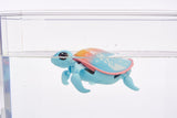 Little Live Pets: Lil’ Turtle - Single Pack (Ripswirl)