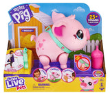 Little Live Pets - My Pet Piglet Piggly