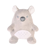 Chunky Cuddly Koala Soft Toy
