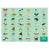 Mudpuppy: Bugs & Butterflies - Search & Find Puzzle (64pc Jigsaw)