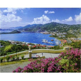 Premium Cut: St Thomas US Virgin Island Puzzle (1000pc Jigsaw)