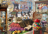 Holdson: Antique Shop Cat - Cat Napping Puzzle (1000pc Jigsaw)
