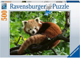 Ravensburger: Red Panda Photo Puzzle (500pc Jigsaw)