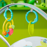 Bright Starts: Playful Paradise Portable Swing