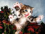 Prime 3D: Pouncing Kitten (100pc Jigsaw)