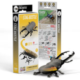 Eugy: Stag Beetle - 3D Cardboard Model