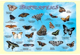 Learning Placemats - Butterflies