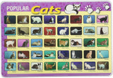 Learning Placemats - Cats