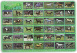 Learning Placemats - Horse