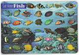 Learning Placemats - Salt Water Fish