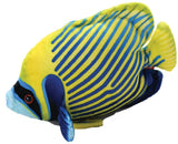 Wild Republic Coral Reef: Emperor Angelfish - 6